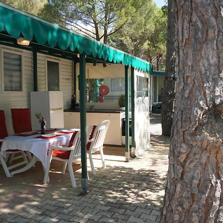 Chalets Met Buitenkeuken Op Camping Lei Suves - Joycasa Roquebrune-sur-Argens Eksteriør billede