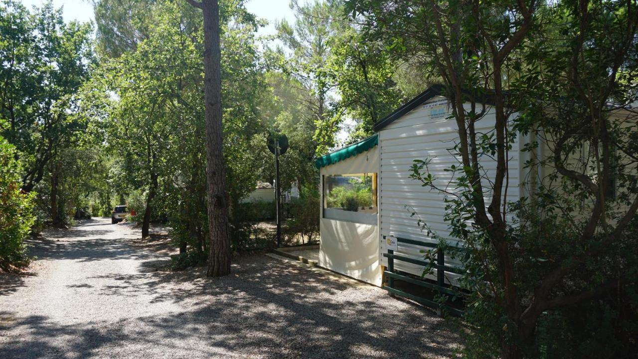 Chalets Met Buitenkeuken Op Camping Lei Suves - Joycasa Roquebrune-sur-Argens Eksteriør billede