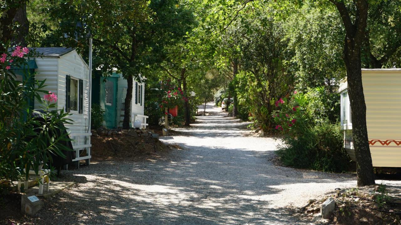 Chalets Met Buitenkeuken Op Camping Lei Suves - Joycasa Roquebrune-sur-Argens Eksteriør billede