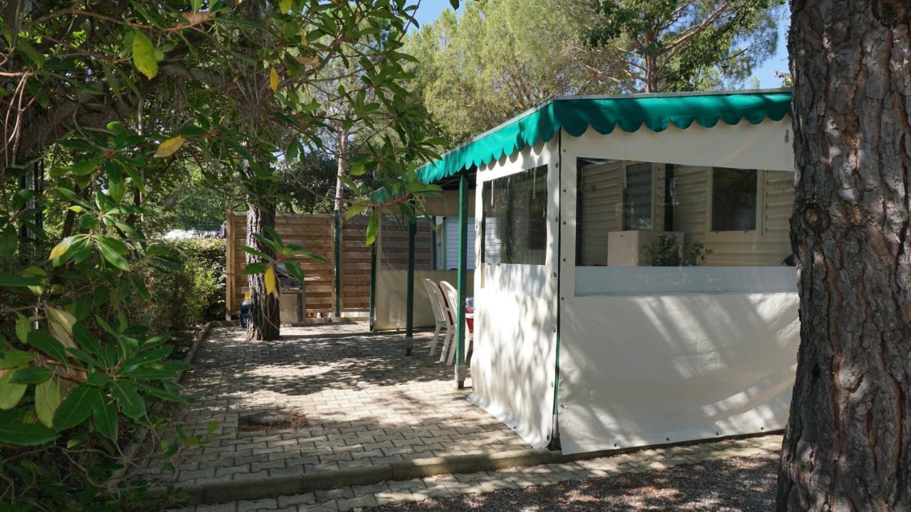 Chalets Met Buitenkeuken Op Camping Lei Suves - Joycasa Roquebrune-sur-Argens Eksteriør billede