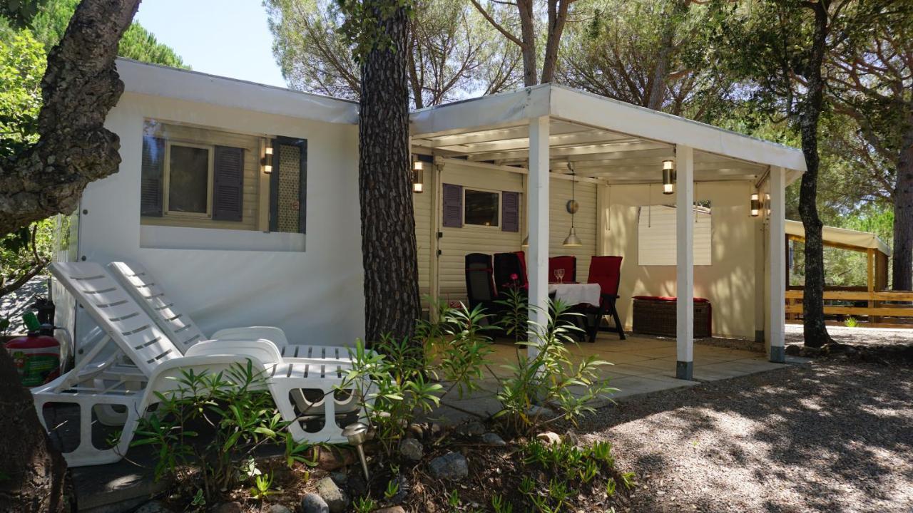 Chalets Met Buitenkeuken Op Camping Lei Suves - Joycasa Roquebrune-sur-Argens Eksteriør billede