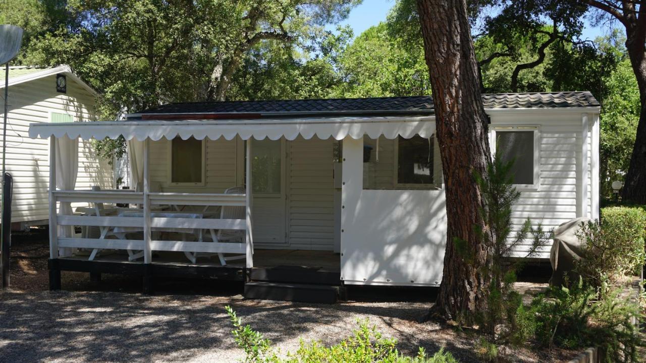 Chalets Met Buitenkeuken Op Camping Lei Suves - Joycasa Roquebrune-sur-Argens Eksteriør billede
