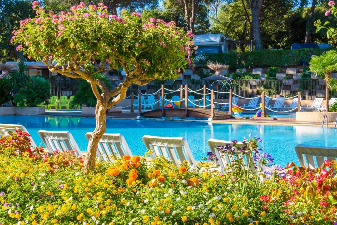 Chalets Met Buitenkeuken Op Camping Lei Suves - Joycasa Roquebrune-sur-Argens Eksteriør billede