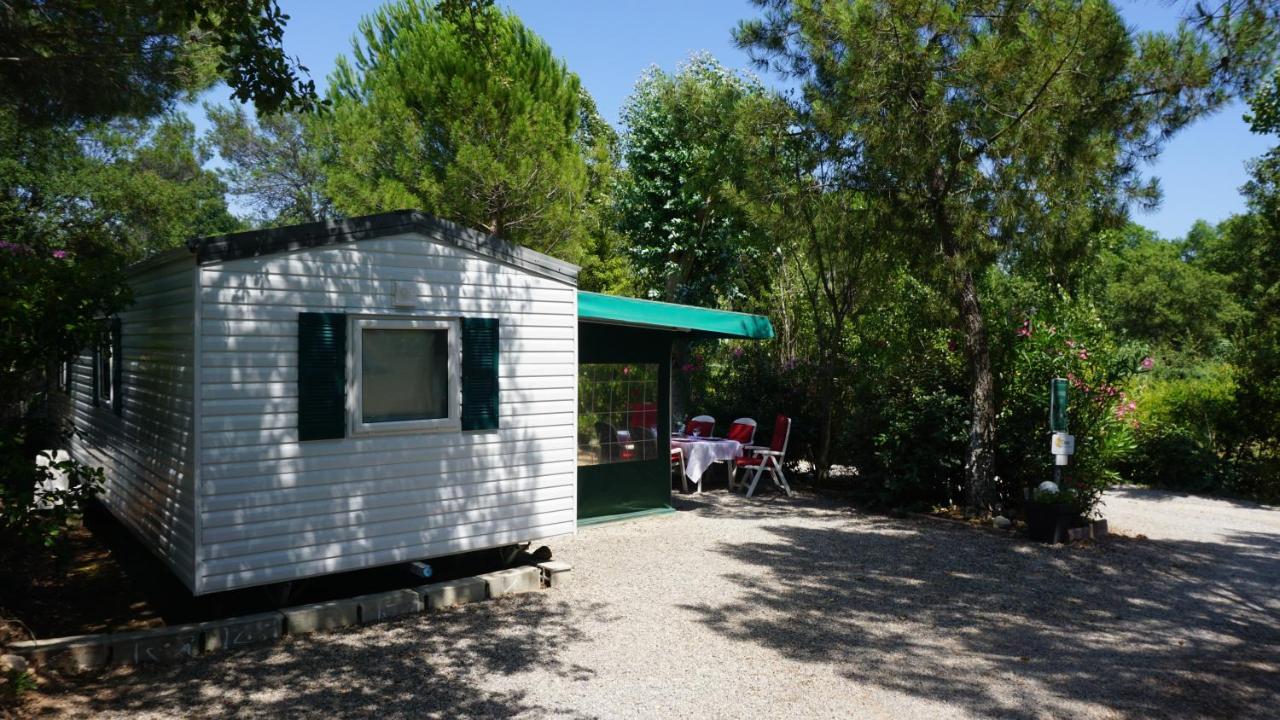 Chalets Met Buitenkeuken Op Camping Lei Suves - Joycasa Roquebrune-sur-Argens Eksteriør billede
