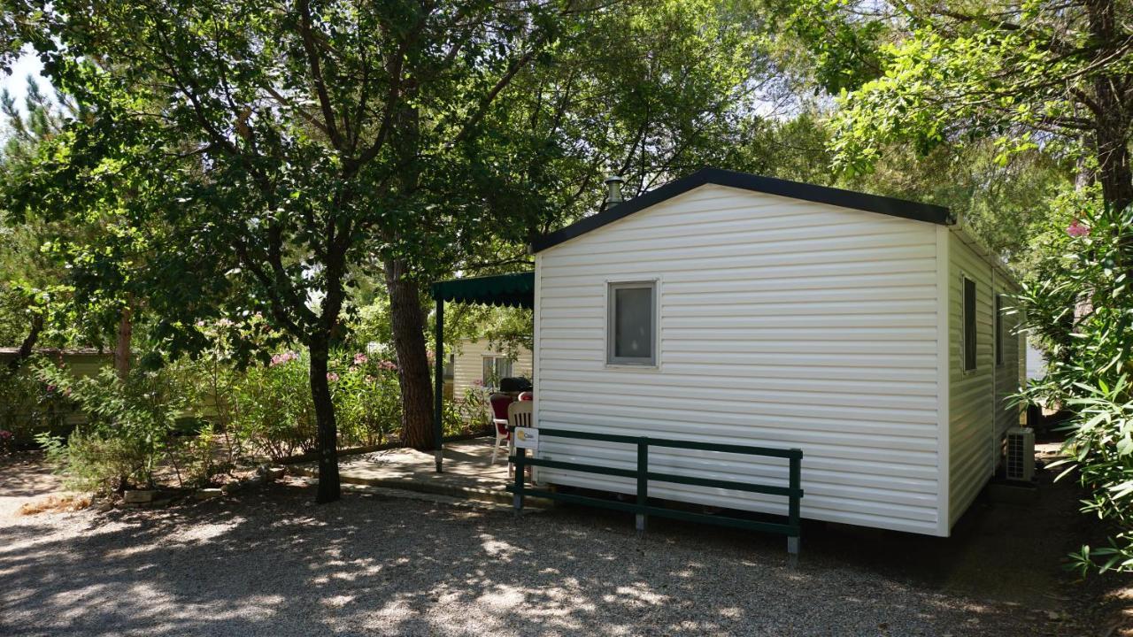 Chalets Met Buitenkeuken Op Camping Lei Suves - Joycasa Roquebrune-sur-Argens Eksteriør billede