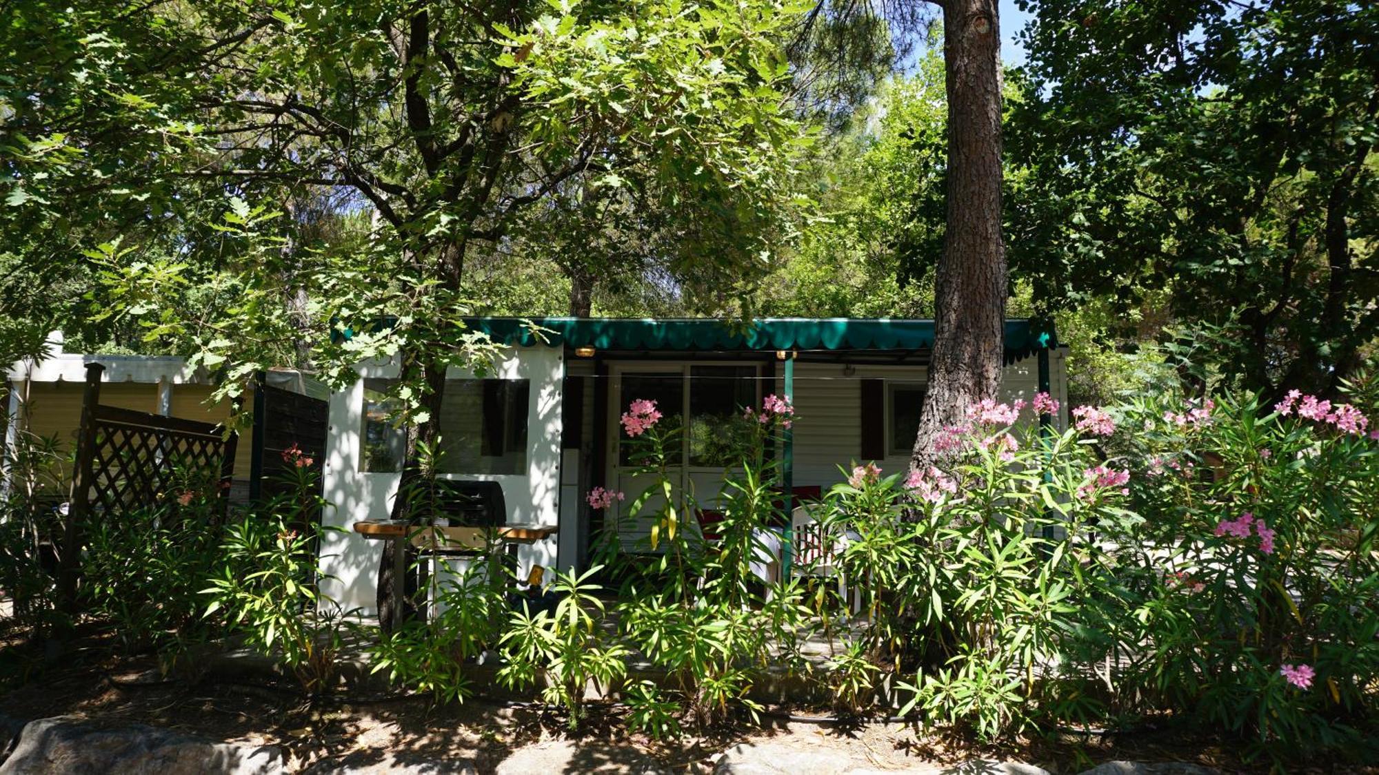 Chalets Met Buitenkeuken Op Camping Lei Suves - Joycasa Roquebrune-sur-Argens Værelse billede